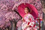 Цветы сакуры, 8 дней + авиа (на майские праздники)